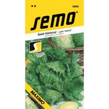 SALÁT HL.ĽADOVÝ MAXIMO 0,6g - SEMO | FLORASYSTEM