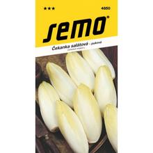 ČEKANKA poupat DI BRUXELLES 0,6g - SEMO | FLORASYSTEM