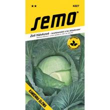 ZELÍ pozd. Kamienna Glow 0,8g - FLORASYSTEM