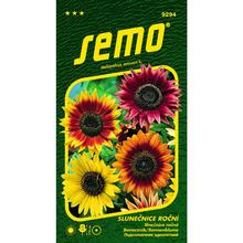 SLUNEČNICE ROČNÍ Autum BEAUTY 2g - SEMO | FLORASYSTEM