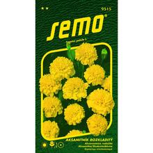 Aksamitník ROZL PETIT ŽLUTÁ 1g - SEMO | FLORASYSTEM