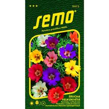 Šrucha velkokvětá SMĚS 0,20g - FLORASYSTEM