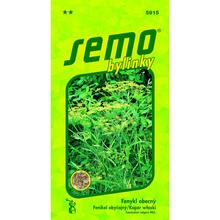 FENYKL OBECNÝ 2g - SEMO | FLORASYSTEM