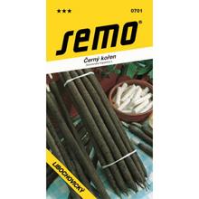 ČERNÝ KOŘEN Libochovičky 2,2g - SEMO | FLORASYSTEM