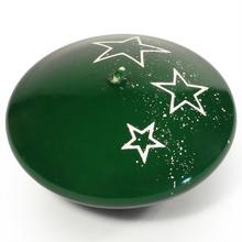 BÍLÉ HVĚZDY PLÁV.ZELENÁ - Hviezda | FLORASYSTEM