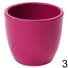 Obal na kaktus v štyroch farbách: šedá, ružová, biela a zelená.