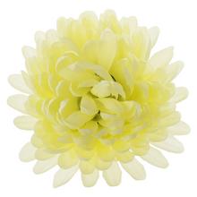 HLAVA chryzantémy světle žlutá 10cm - Chryzantéma | FLORASYSTEM