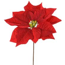 VIAN.POINSETTIA ČERVENÁ 23cm - Ks květ vánoční | FLORASYSTEM