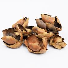 T011 / I385L PALM CUP NAT.10KS / BAL - FLORASYSTEM