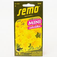 Aksamitník ROZL. SAFARI YELLOW 30s. - FLORASYSTEM