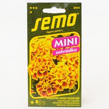 Aksamitník ROZL. SAFARI YELLOW FIRE 30s - FLORASYSTEM