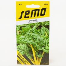 Mangold BRIGHT YELLOW F1 - FLORASYSTEM