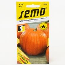 DÝNĚ YELLOWBOYS F1 3g - SEMO | FLORASYSTEM