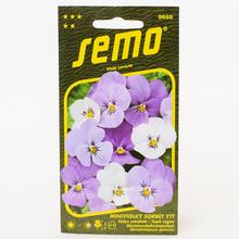 FIALKA ostruhou SORBET YTT - SEMO | FLORASYSTEM