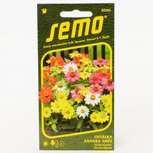 Cínie Zahara MIX 15s - SEMO | FLORASYSTEM