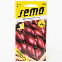 CIBULE KARMINKA JARNÍ podlah. 1,50g - SEMO | FLORASYSTEM