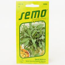 ŠALVĚJ 0,8g - FLORASYSTEM