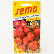 JAHODA FLORIAN F1 - velkoplodá 15s - FLORASYSTEM