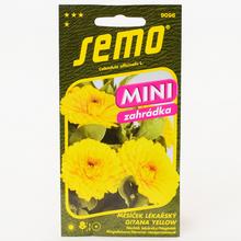 MĚSÍČEK LÉKAŘSKÝ GITANA YELLOW 20s - FLORASYSTEM