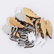 ZÁVĚS KŘÍDLA MIX S / 24 12X16X3,3CM - FLORASYSTEM