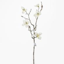 MAGNOLIA SPRAY.65CM .KREM - Ks květ vánoční | FLORASYSTEM