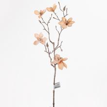 MAGNOLIA SPRAY.65CM .LOSOS - Ks květ vánoční | FLORASYSTEM