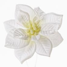 POINSETTIA BÍLÁ CLIP 12CM - Květ na klipu | FLORASYSTEM