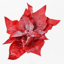 POINSETTIA ČERVENÁ zasněžovat. CLIP 15CM - Květ na klipu | FLORASYSTEM