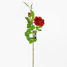 RŮŽE KS ČERVENÁ 80cm - Růže kusovky | FLORASYSTEM