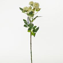 RŮŽE Vícekvěté KS ŽLUTÁ 68cm - Růže kusovky | FLORASYSTEM