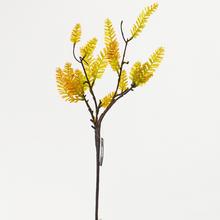 ZELEŇ cypřišek ČERV.ZEL. 54cm - FLORASYSTEM