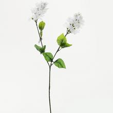 KVĚT BÍLÝ KS 75cm - Luční květy | FLORASYSTEM