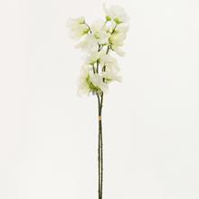 KYTICE hrachor X3 45CM CREM - Luční květy | FLORASYSTEM