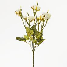 KYTICE RŮŽE BÍLÁ 40cm - Růže kytice | FLORASYSTEM