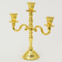 Alumina / ZLATÁ 3 RAM / 23 CM - FLORASYSTEM