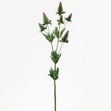 KS Eryngium ZELENO-rtěnku. 90CM - Luční květy | FLORASYSTEM