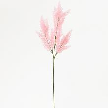 Vřesu RŮŽOVÝ 65cm - Luční květy | FLORASYSTEM