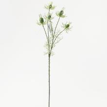 Nigella BL.ZEL. 60CM - Větev | FLORASYSTEM