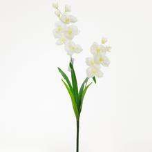 KS ORCHIDEA BÍLÁ 61cm - Orchidej | FLORASYSTEM