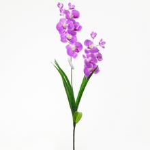 KS ORCHIDEA FIALOVÁ 61cm - Orchidej | FLORASYSTEM