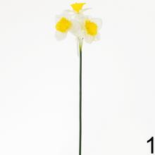 KS NARCIS MIX 2 FAR. 40cm - Foto0