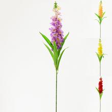 KS MATHIOLA 92cm MIX 4FARIEB - Luční květy | FLORASYSTEM
