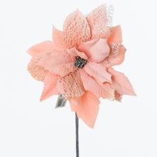 Kusovky POINSETT - Ks květ vánoční | FLORASYSTEM