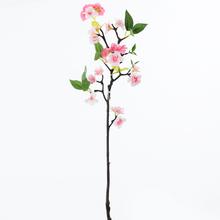 Větvemi TŘEŠEŇ RŮŽOVÁ - Větev květ | FLORASYSTEM