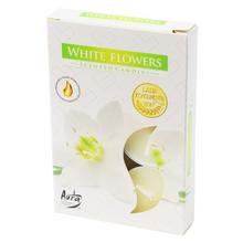 Čajová voňavých / 6 BÍLÉ KVĚTY - S vůní 1/6 | FLORASYSTEM