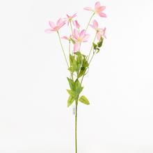 KS 8KVET RŮŽOVÁ 90cm - Luční květy | FLORASYSTEM