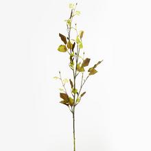 ZELEŇ LISTY RŮŽE BL.ZELENÉ 92cm - Větev podzim | FLORASYSTEM