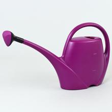 Konvičkou SPRING 2,5L FUCHSIA 42x9,5x25CM - Konve | FLORASYSTEM