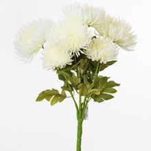 Kytice krémových chryzantém s listy.