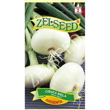 CIBULE JARNÍ ARGENTA 2g - ZELSEED | FLORASYSTEM